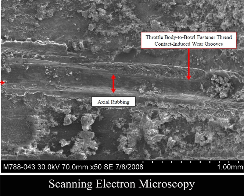 Scanning Electron Microscopy